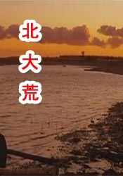在线观看免费视频一区